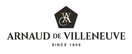 Logo Arnaud de Villeneuve Noir